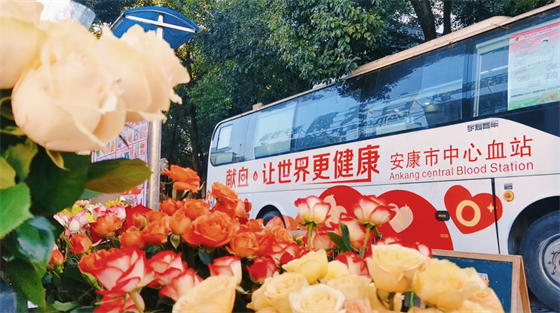 安康這三兄妹，熱血！