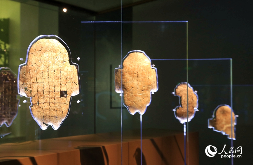 殷墟博物館展出的甲骨文。人民網(wǎng)記者 慎志遠 攝